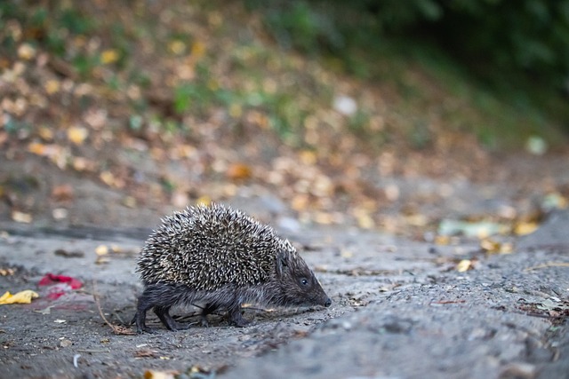 我们将深入 我们将深入