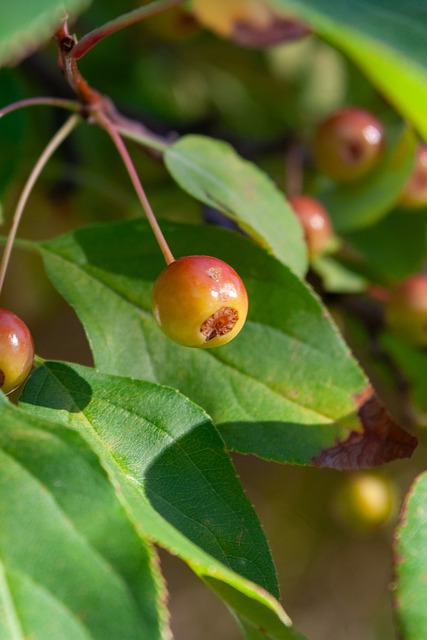 外界普遍認 外界普遍認