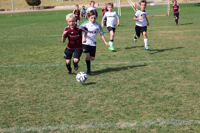 国羽均取得 国羽均取得