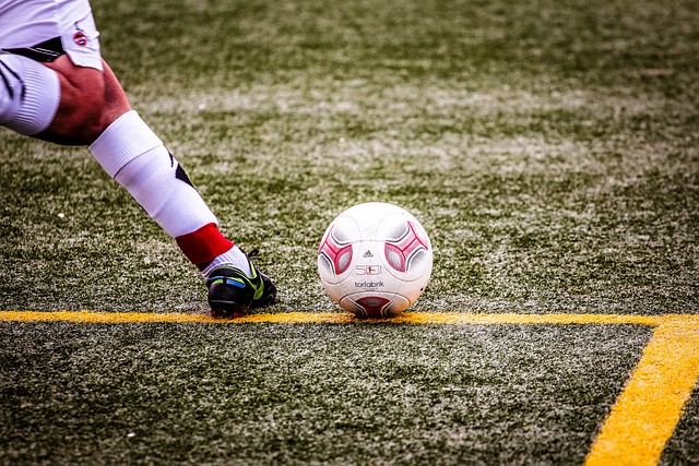 他们的优异 他们的优异