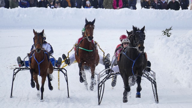 及加勒比地 及加勒比地