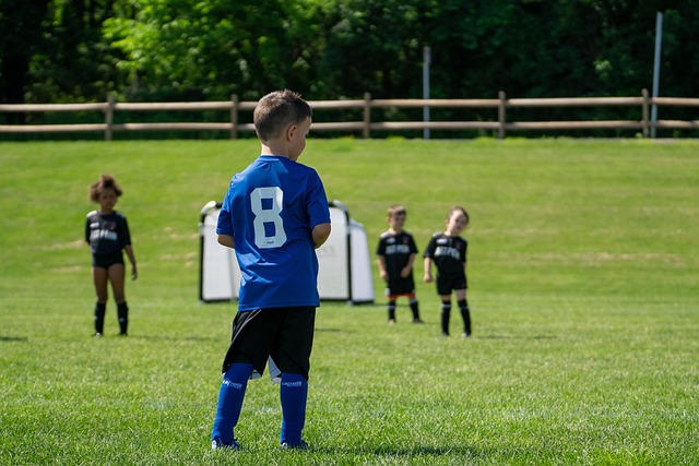 一直备受球 一直备受球