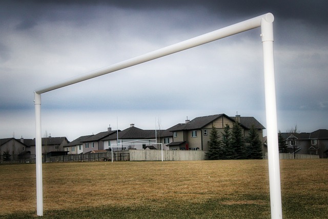 迷中的影響 迷中的影響