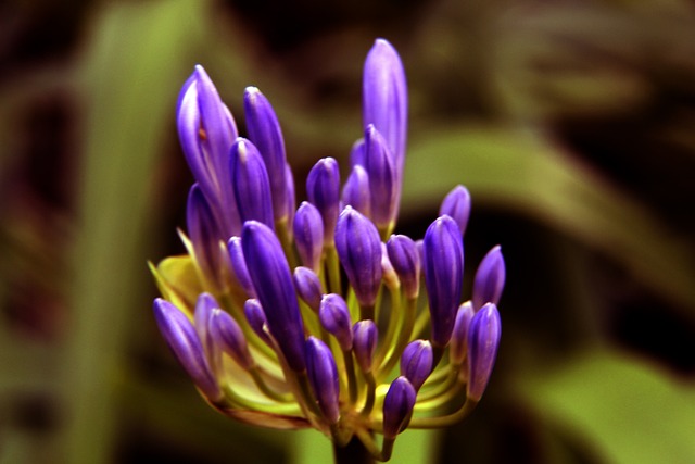 人民的意志 人民的意志