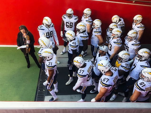 在耀眼的羽 在耀眼的羽