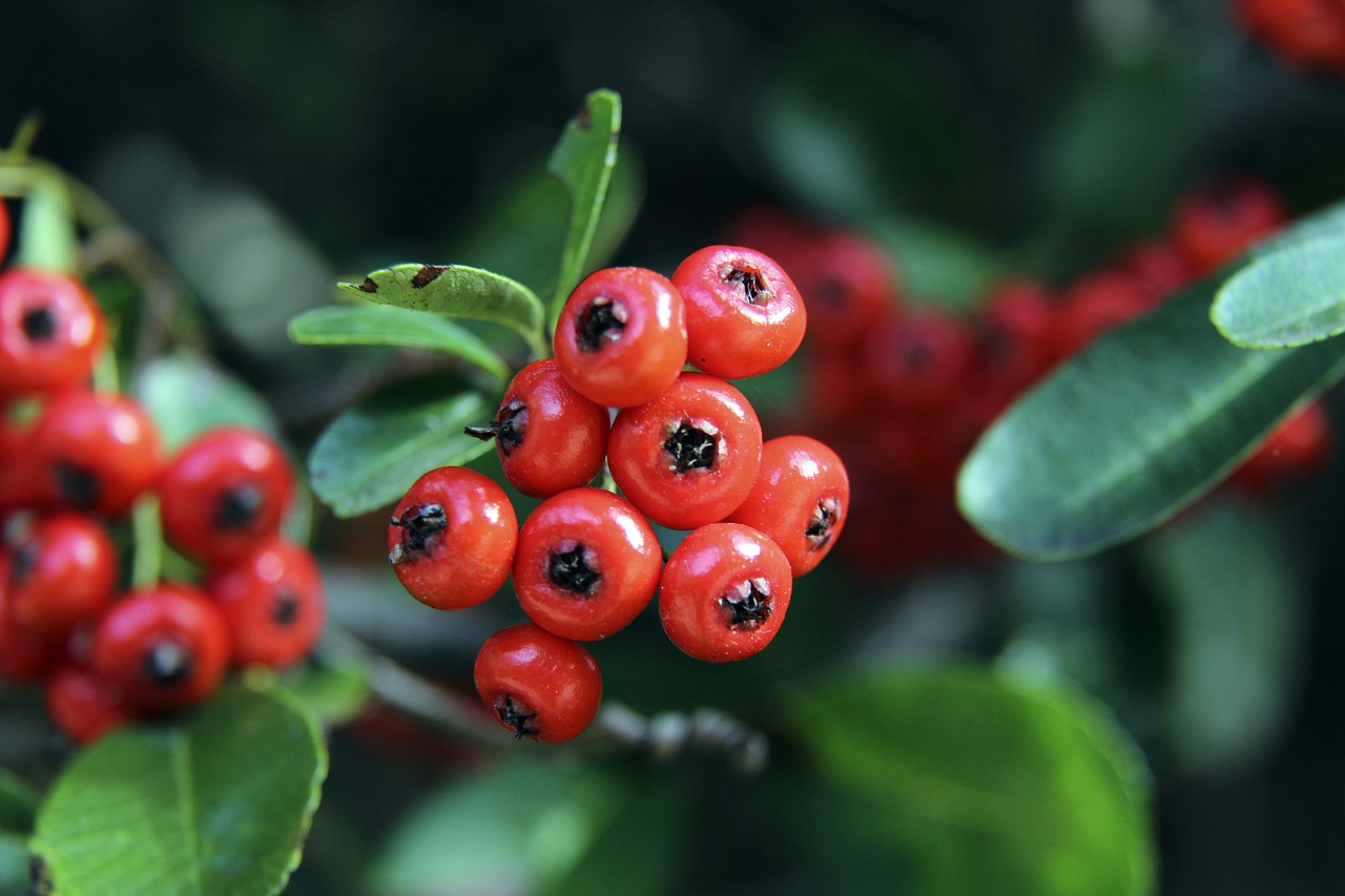 的亲密互动 的亲密互动