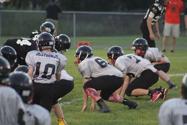 的代名词 的代名词